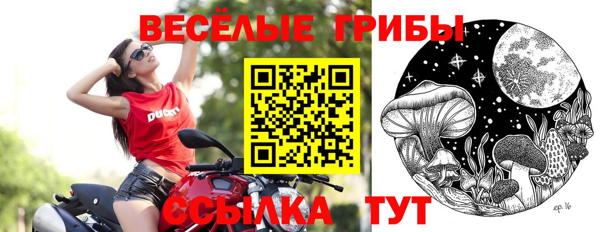 Галлюциногенные грибы GOLDEN TEACHER  Вход с VPN  Дубна 